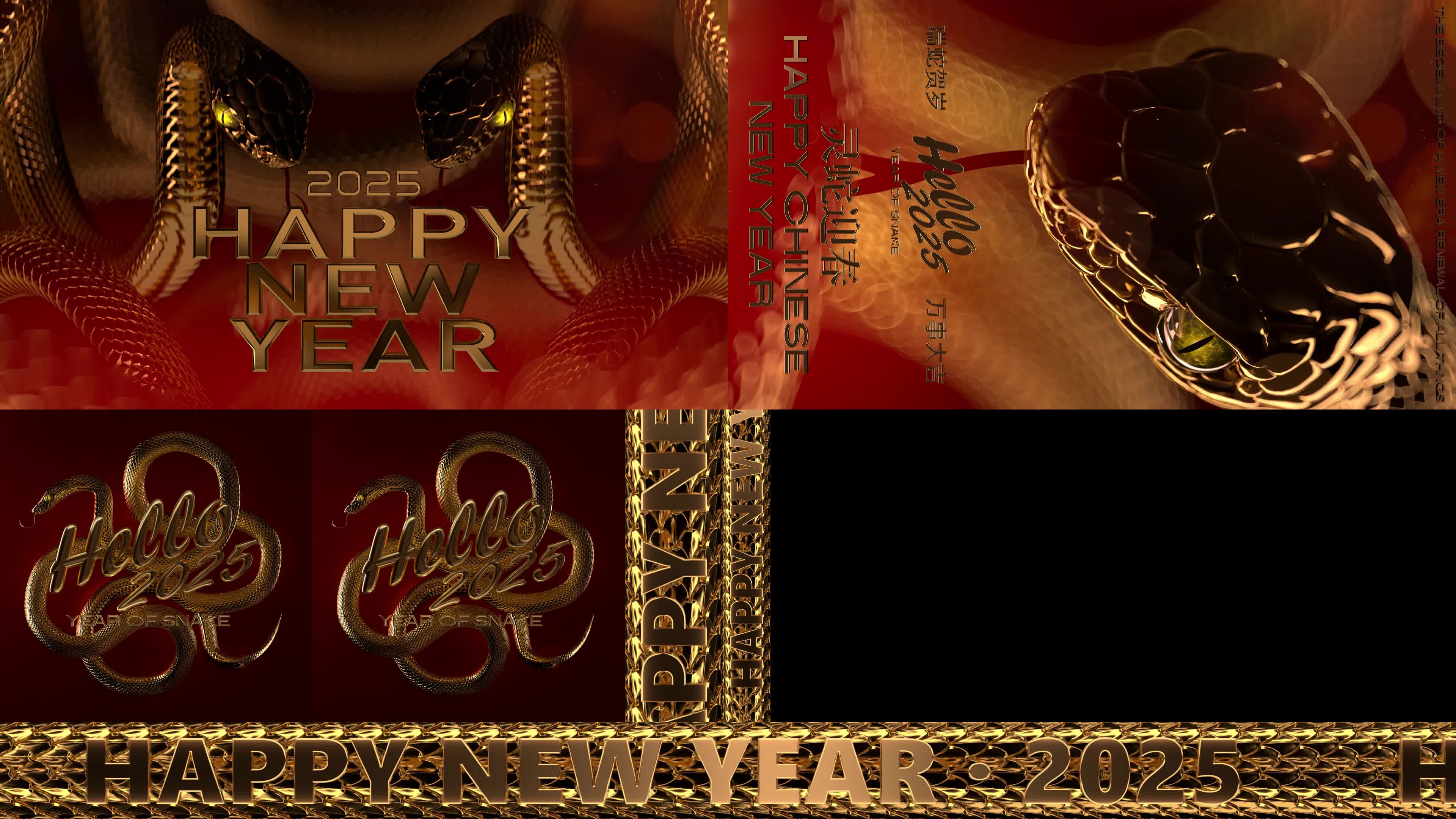 1739516361243741.jpg 蛇年春节_进阶.jpg